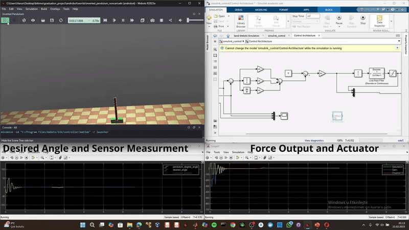 InvertedPendulumVideo